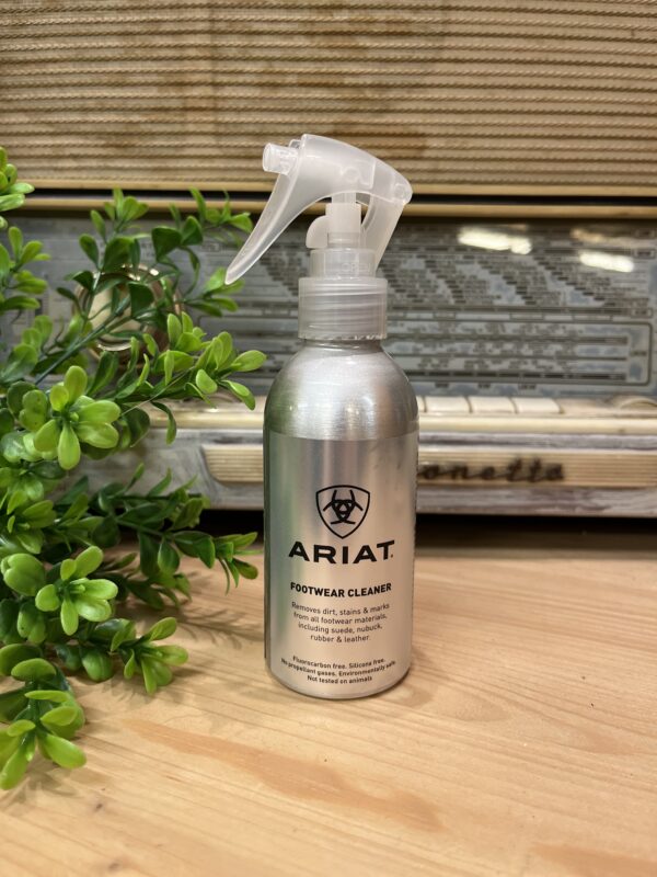 Footwear Cleaner