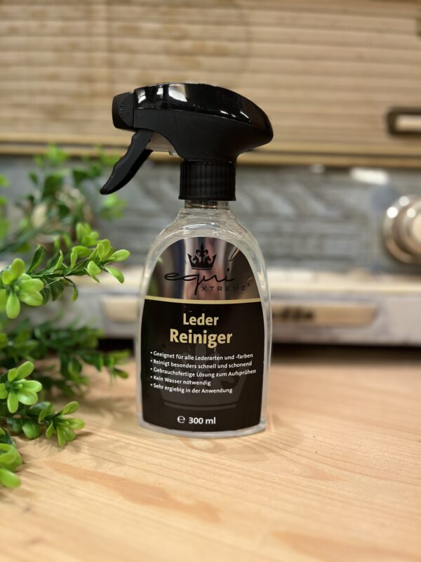 Leder Reiniger