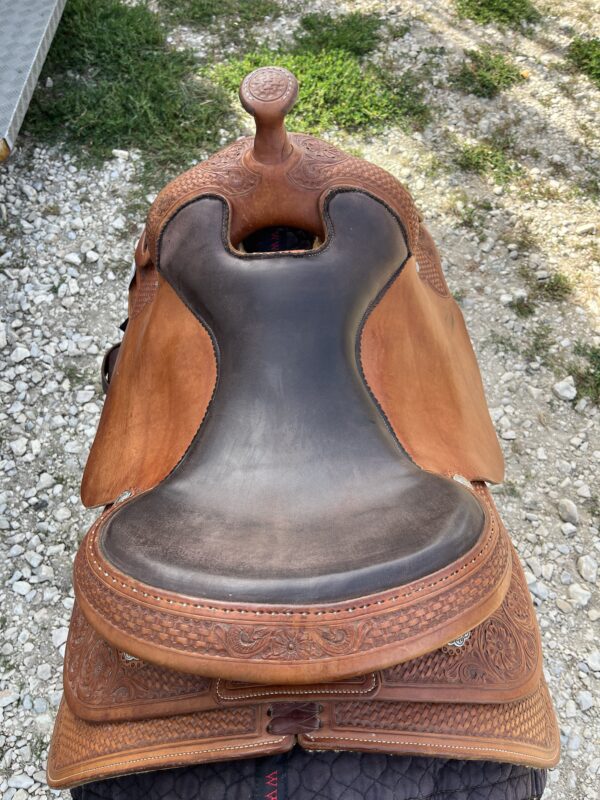 Equine Design